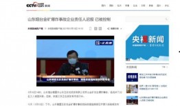 山东企业爆料最新消息,揭秘行业变革背后的秘密